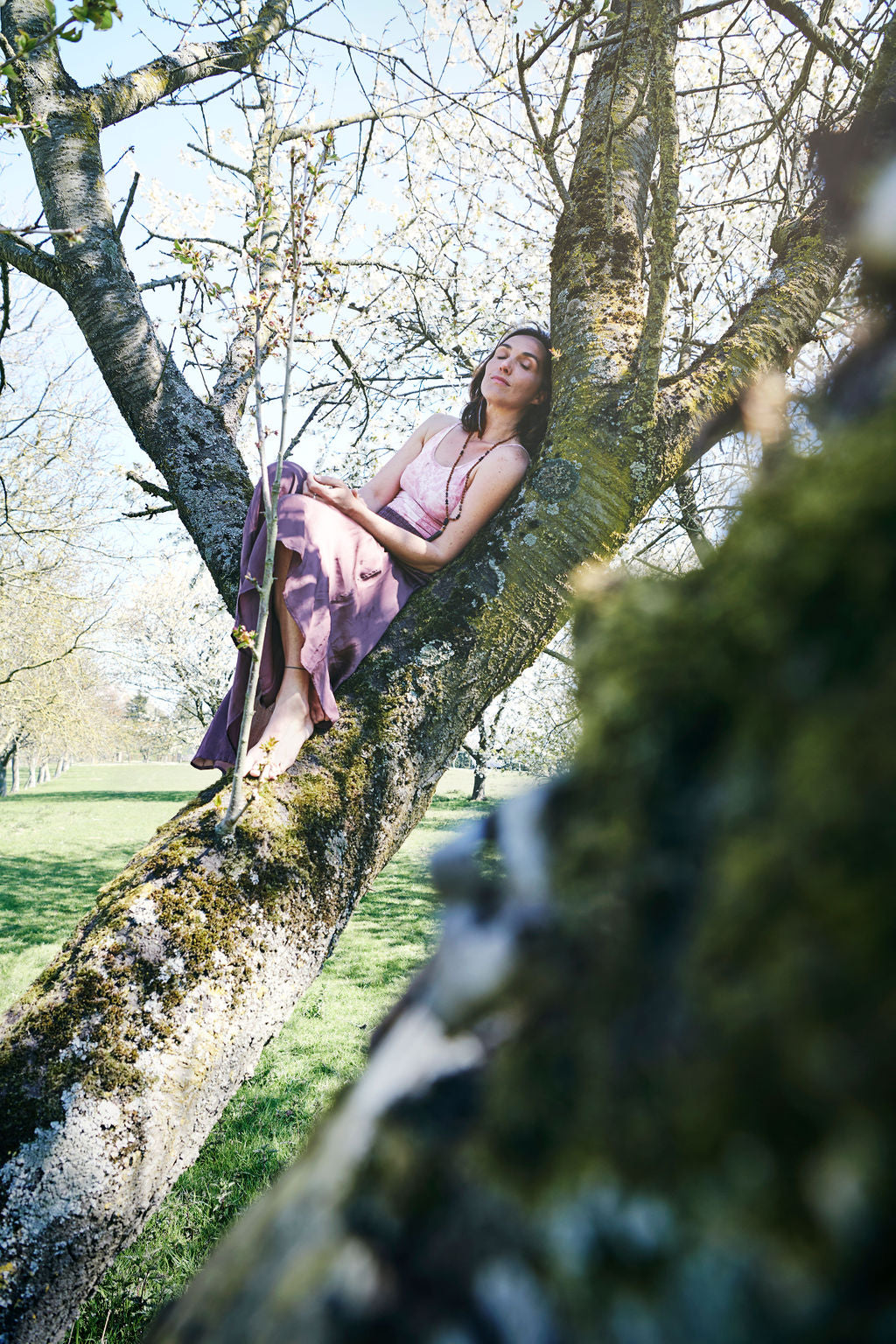 Yin Teacher Training 2026